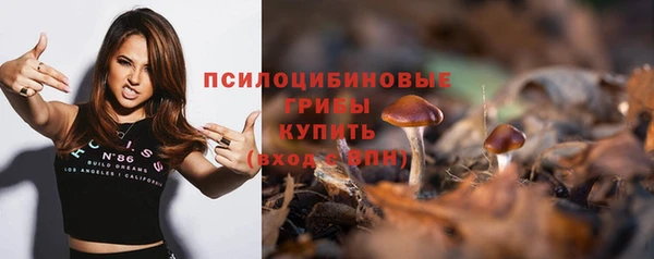 амф Краснослободск