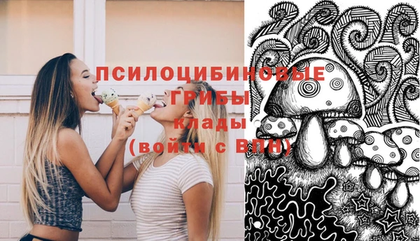 амф Краснослободск