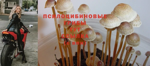 хмурый Красноперекопск