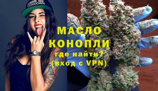 амф Краснослободск