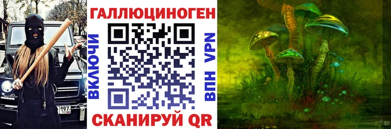 Купить закладки  Николаевск  Псилоцибиновые грибы Psilocybine cubensis 