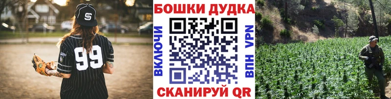 Каннабис сатива  Купить где  Николаевск 